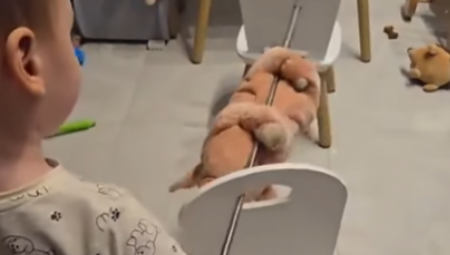 BALKAN MU U KRVI! Vegani na aparatima, snimak dečaka kako radi OVO zapalio mreže! (VIDEO)