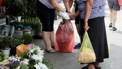 ODLUKA JE DANAS STUPILA NA SNAGU Evo gde je zabranjena upotreba plastičnih kesa! Kazne su paprene, kreću od 500 evra...