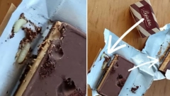 "IZMILELI SU DEBELI, BELI CRVI" Treći put ove godine bajadera puna parazita, kompanija negira, građani u šoku