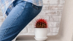 AKO IMATE PROBLEMA SA SVRABOM DOK SEDITE, NAJBOLJE DA POSETITE LEKARA Ovo su simtomi koji mogu ukazivati na ozbiljne probleme