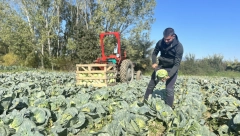 VUK JE JEDAN OD NAJMLAĐIH POLJOPRIVREDNIKA U SRBIJI! Obrađuje više hektara zemlje nego što ima godina!