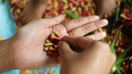 STAVITE KARANFILIĆ NA SVA VRATA U KUĆI Preko noći ćete rešiti problem koji vas je godinama mučio