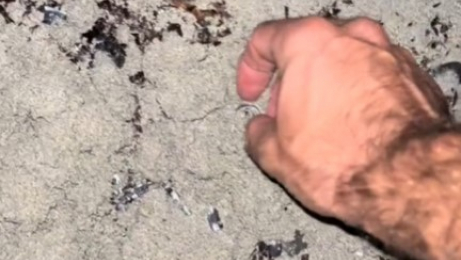 DETEKTOR JE ZAPIŠTAO, A ISPOD PESKA PRAVO BLAGO Momak pretraživao plažu, pa naišao na neverovatno otkriće - od vrednosti boli glava! (VIDEO)