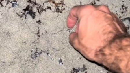 DETEKTOR JE ZAPIŠTAO, A ISPOD PESKA PRAVO BLAGO Momak pretraživao plažu, pa naišao na neverovatno otkriće - od vrednosti boli glava! (VIDEO)