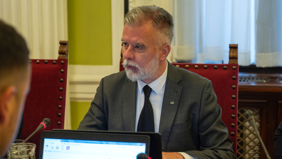 "ZA OVO MINISTARSTVO NE POSTOJE ZAVISNI I NEZAVISNI MEDIJI" Ristić: Za nas postoje registrovani