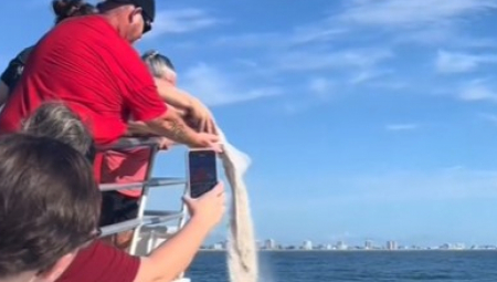 ''POSULI SMO PEPEO NAŠEG DEDE, A ONDA SU NAS POSETILI ONI...''  Porodica veruje da im je pokojnik time poslao znak, zanemeli od šoka! (VIDEO)