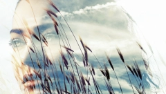 HOROSKOP ZA NEDELJU, 27. OKTOBAR Vodoliji se otvara prilika za promenu posla, Devici ljubavna dilema, Lavu slabija cirkulacija