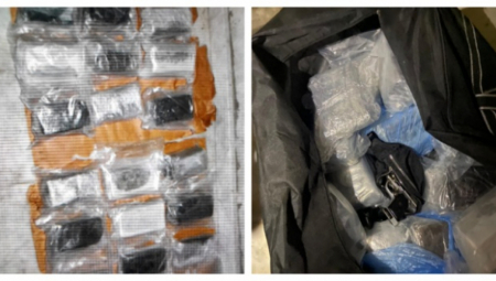 PRITVOR ZA NEMANJU ZBOG KANABISA U podrumu štekovao oko 40 kilograma narkotika