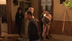 JEZIVE UVREDE NA FARMI! Kamera snimila brutalnost učesnika, hitna reakcija obezbeđenja!