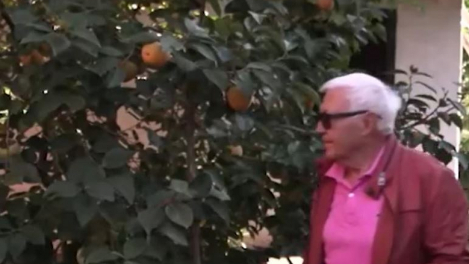 TROPSKO VOĆE USRED OVOG SRPSKOG GRADA! Dragan u dvorištu gaji KIVI, NAR, MASLINE I KAKI JABUKU!
