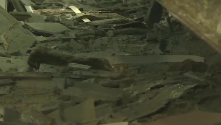 KOPALA BIH KROZ RUŠEVINE RUKAMA I NOGAMA DA IH NAĐEM Majka deteta iz Novog Sada kroz suze kaže: "Molim se samo da nije ono najgore"