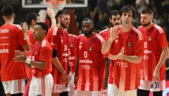 VAŽNA ODLUKA SFEROPULOSA Teodosić u sastavu za Asvel, a evo koja dvojica igrača - nisu