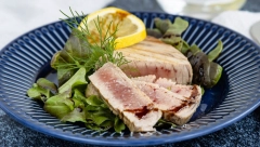 U TUNJEVINI PRONAĐENA ŽIVA Preko pedeset odsto uzoraka premašilo granicu prihvatljive vrednosti