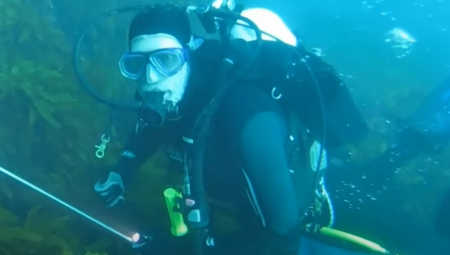 DRAMATIČAN SUSRET SA MONSTRUMOM Morska zver prestravila ronioce, običan lov na rakove pretvorio se u horor! (VIDEO)