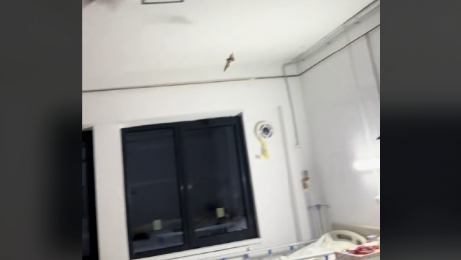 HAOS NA ODELJENJU PEDIJATRIJE! Slepi miševi uleteli u sobu, pa sumanuto udarali po zidovima: Majka sve snimila! (VIDEO)