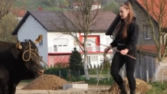 MARTINA IZ BOSNE DISKOTEKE ZAMENILA ŠTALOM Posvetila se treniranju bikova, samo jedna stvar je čini najsrećnijom na svetu!