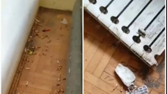 PODSTANARI IZ PAKLA Beograđanka izdala stan ispod tržišne cene, bez ugovora, a oni joj demolirali nekretninu i 3 meseca nisu platili kiriju!