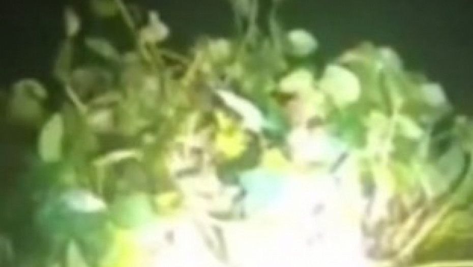 AU, LJUDI, DA LI JE OVAJ ČOVEK NORMALAN? Švercer maskiran u zumbul pokušao da prevari policiju, evo šta ga je odalo! (VIDEO)
