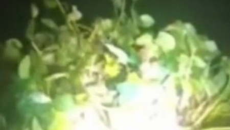 AU, LJUDI, DA LI JE OVAJ ČOVEK NORMALAN? Švercer maskiran u zumbul pokušao da prevari policiju, evo šta ga je odalo! (VIDEO)