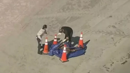 RADNIK PRONAŠAO LJUDSKU GLAVU NA PLAŽI Meštani zabrinuti (VIDEO)