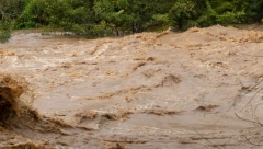 POPLAVE U ŠPANIJI NANELE OGROMNU ŠTETU Hiljade hektara zasada uništeno
