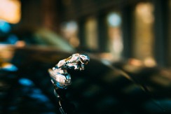 JAGUAR MENJA LOGO POSLE 102 GODINE Kreću novu eru u poslovanju (FOTO)