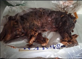 "UGLJENISALI SU GA, GORKO I JADNO" Leskovčanka naručila pečenje u pekari, a sada nema šta da posluži gostima