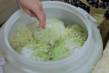 ZAŠTO JE TOLIKO ZDRAVO JESTI KISELI KUPUS Najmanje pet razloga da ga imate na trpezi ove zime