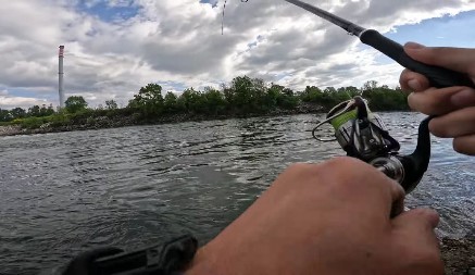 UHVAĆENI U KRIVOLOVU, POLICIJA IM NAŠLA VIŠE OD 110 KOMADA! Hapšenje u Kuli u rezervatu prirode