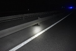 Srđan Milivojević priča o "krvavim haubama" a upravo on usmrtio malog nedužnog psa!