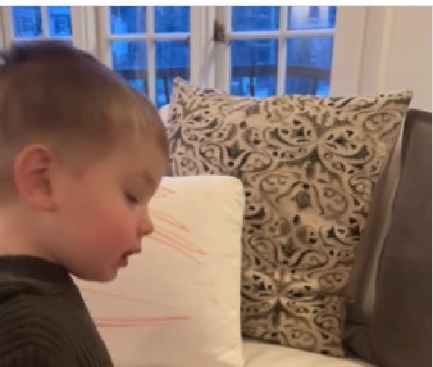 „TVOJ MALI PIKASO JE PRESLADAK“ Dečak (2) priredio iznenađenje mami i nasmejao 30 miliona ljudi