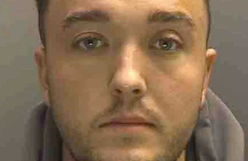 MUŠKARAC UKRAO PSA BIVŠOJ DEVOJCI I POSLAO JOJ JEZIVU PORUKU "Bolje bi ti bilo da odgovoriš..."