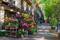 DONOSI SAMO NESREĆU Ovaj cvet nikako ne poklanjajte ženama za 8. mart