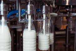 SRPSKI MLEKARSKI GIGANT IMA NOVOG VLASNIKA Čuveni proizvođači jogurta spaseni od propasti