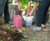 KESICU KVASCA POSPITE PO BAŠTI Samo gledajte rezultat, vaše biljke posle 7 dana postaće šuma