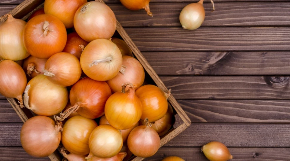 OVAJ CRNI LUK MOŽE BITI OTROVAN Strogo vodite računa, izbegavajte ga ako naiđete na njega