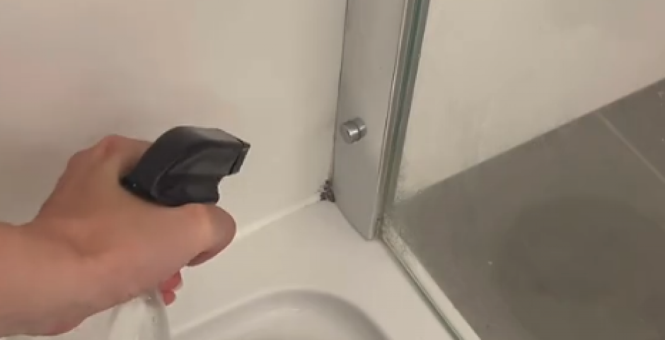 ANA PRSKA OVE 2 STVARI NA BUĐ Zaboravila je na hemikalije od kad koristi prirodno rešenje, njena tuš kabina blista