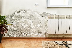 VLAGA NA ZIDU SE VIŠE NEĆE JAVLJATI Mirjana je stavila ovo u svaku prostoriju, crne fleke od buđi su nestale