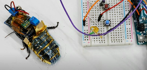 ŠPIJUN I TAJNO ORUŽJE BUDUĆNOSTI  Bubašvaba kiborg šta to ona može, a da čovek ne može(VIDEO)