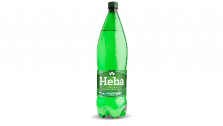 Koja domaća voda je najsličnija Vichy vodi?