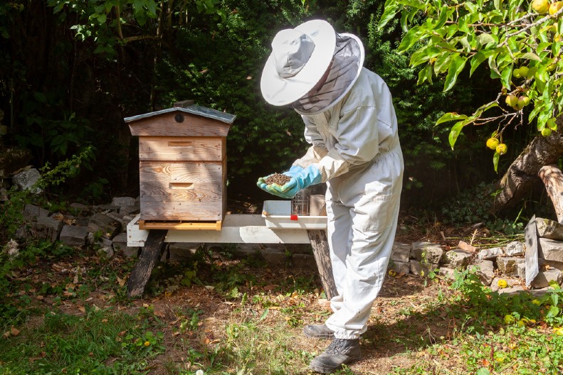 REVOLUCIJA U PČELARSTVU Novi senzori toplote za zaštitu košnica