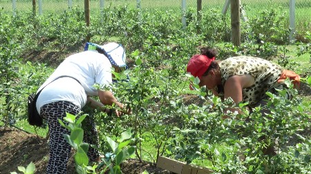 NEMA VIŠE RADA NA CRNO! Počinje elektronska prijava sezonskih radnika!