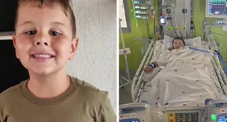 DEČAK SE IGRAO U PLIĆAKU, A ONDA SE ZAČUO JEZIV KRIK Predator ga je ugrizao za ruku, usledila dramatična borba za život! (FOTO)