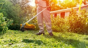 BAŠTOVANI UPOZORAVAJU  U ovom delu dana izbegavajte košenje trave, jer tako možete uništiti travnjak!