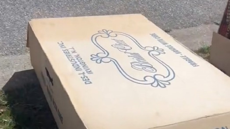 ŠETALA KOMŠILUKOM, PA NAIŠLA NA BAČENU KUTIJU Zbog onog što je pronašla unutra zanemela je od šoka! (VIDEO)