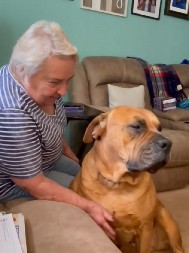 PAS MOLI BAKU DA GA PUSTI NA KAUČ Glumatanje ljubimca nasmejalo do suza milione ljudi, zaslužio je Oskara!