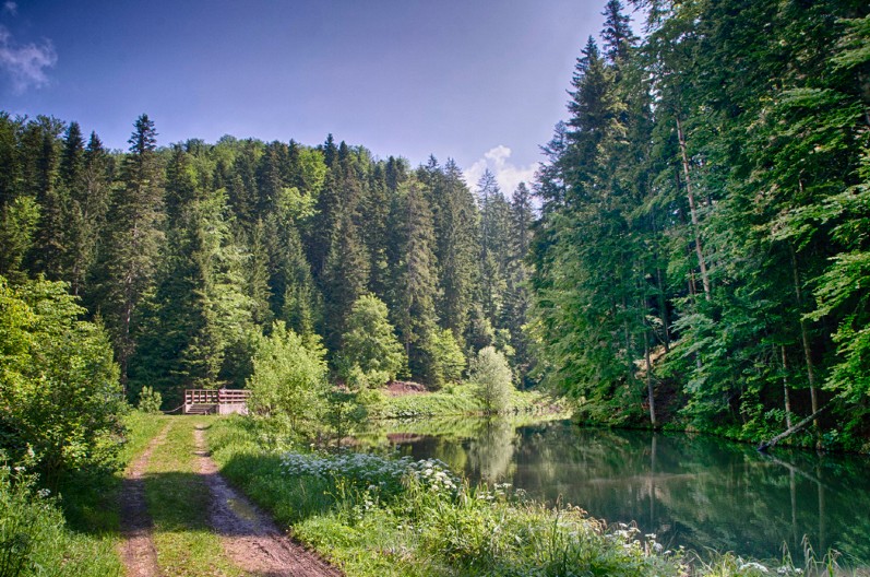 VAŽAN APEL ZA GRAĐANE Izletišta za praznike pod posebnim nadzorom, rigorozne kazne za paljenje vatre