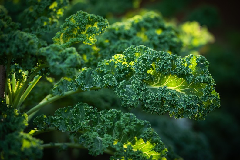 U PROIZVODU PRONAĐENI DELOVI GUME Hitno povlačenje zimskog povrća!