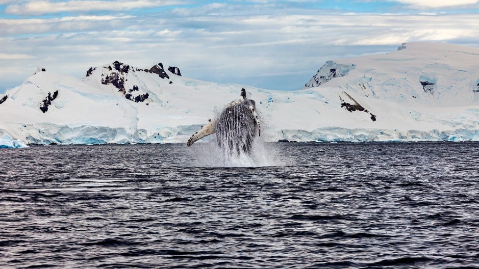 SVI SU MISLILI DA JE MIT "Drhtale su mi noge, a srce stalo kad sam video šta izlazi iz mora"