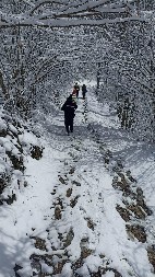 SNEG U KOMŠILUKU, A NAMA... Pred nama je vremenski sunovrat "Ovo nikom ne donosi dobro" (FOTO)